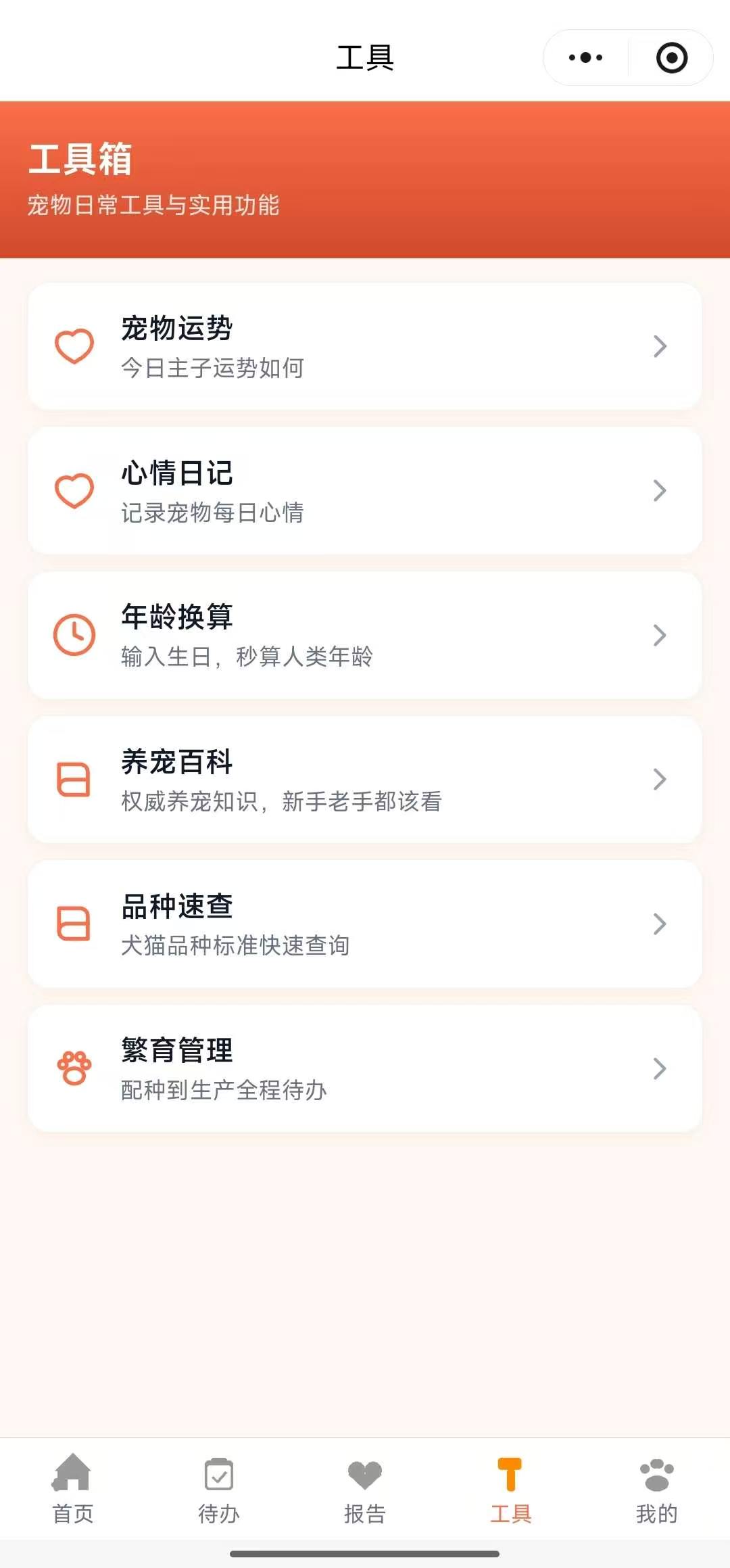 便便记录
