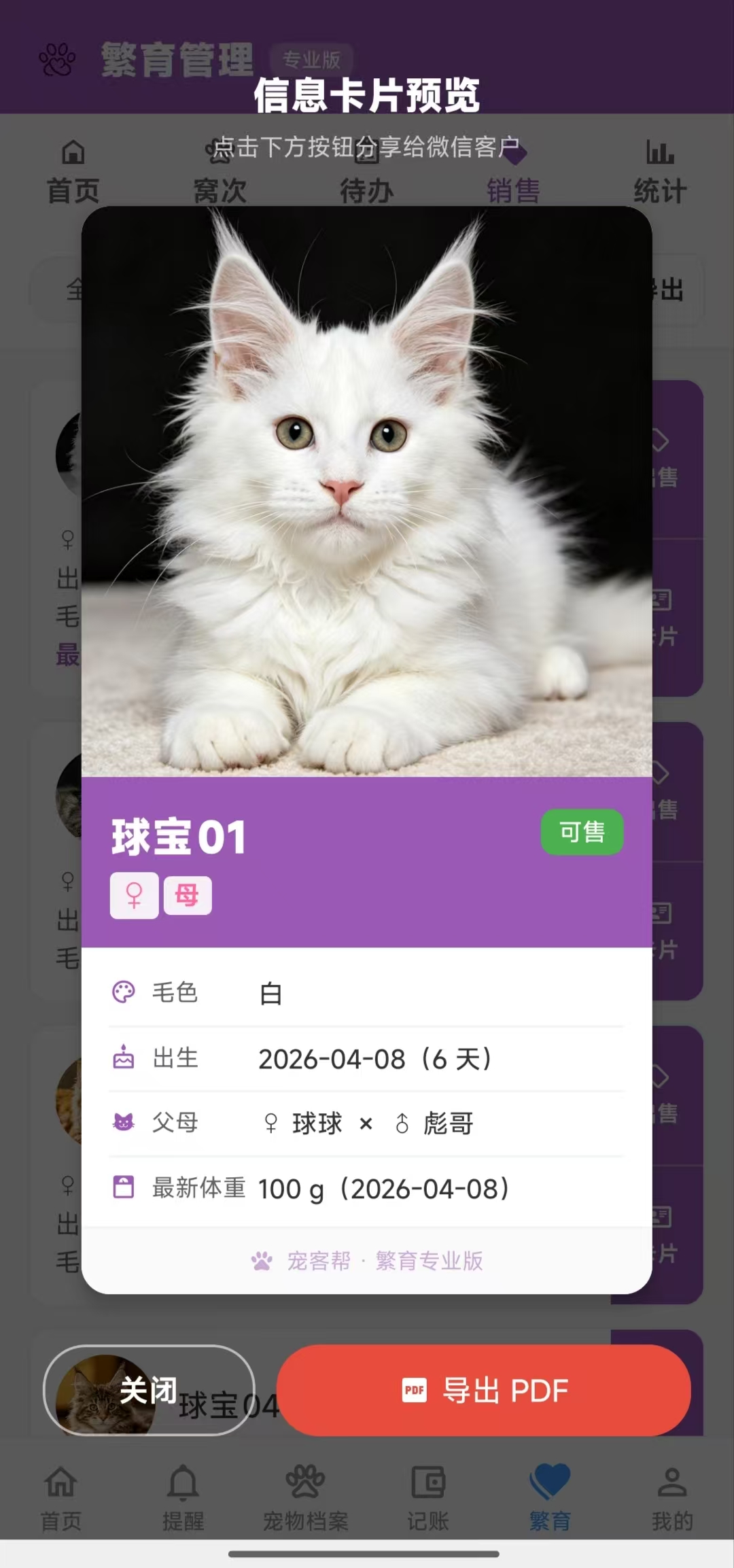 数据导出